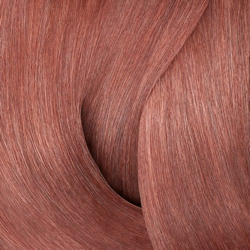 Mauve Rose